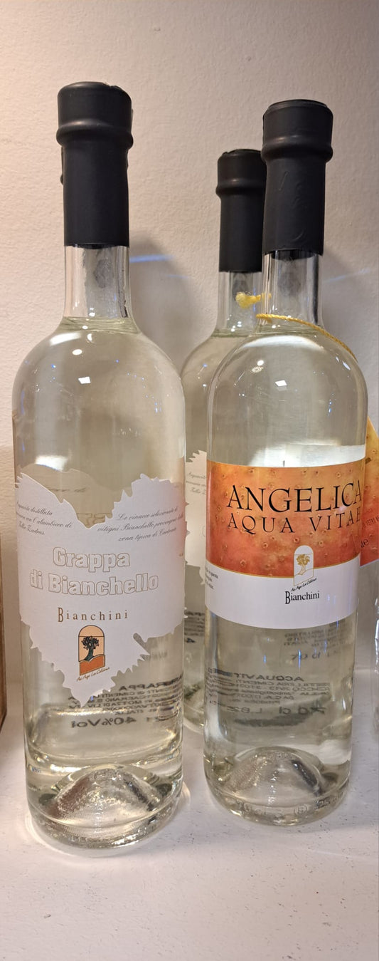 Grappa di Bianchello